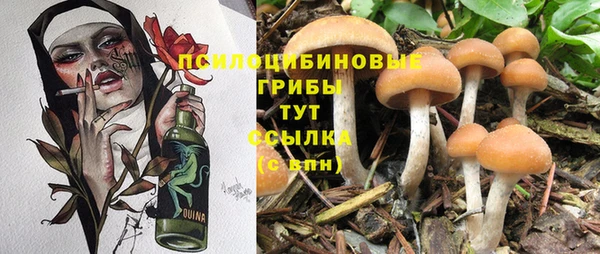прущая мука Няндома