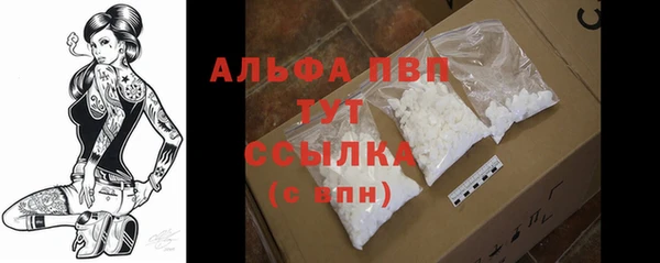 прущие грибы Новодвинск