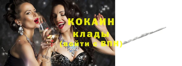прущие грибы Новодвинск