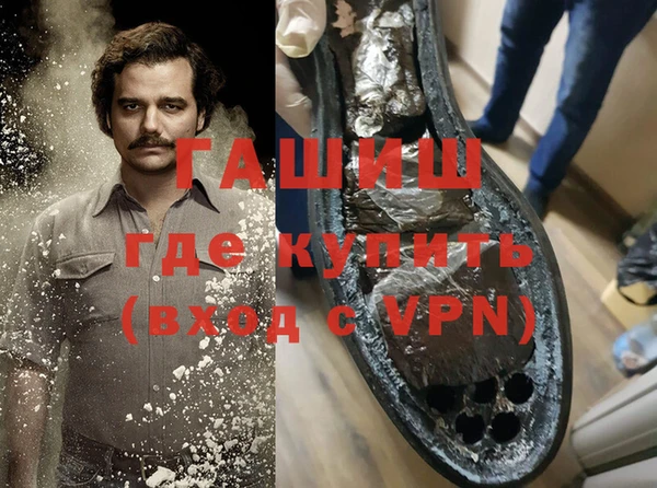 прущие грибы Новодвинск