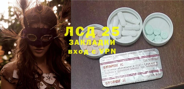 прущие грибы Новодвинск