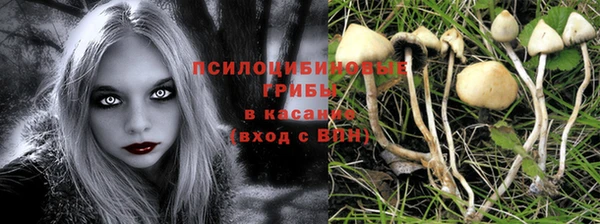 мескалин Новозыбков
