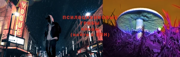 прущие грибы Новодвинск