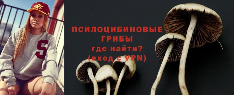 ОМГ ОМГ вход  Ладушкин  Псилоцибиновые грибы MAGIC MUSHROOMS 