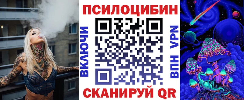 Псилоцибиновые грибы мицелий наркошоп Ладушкин